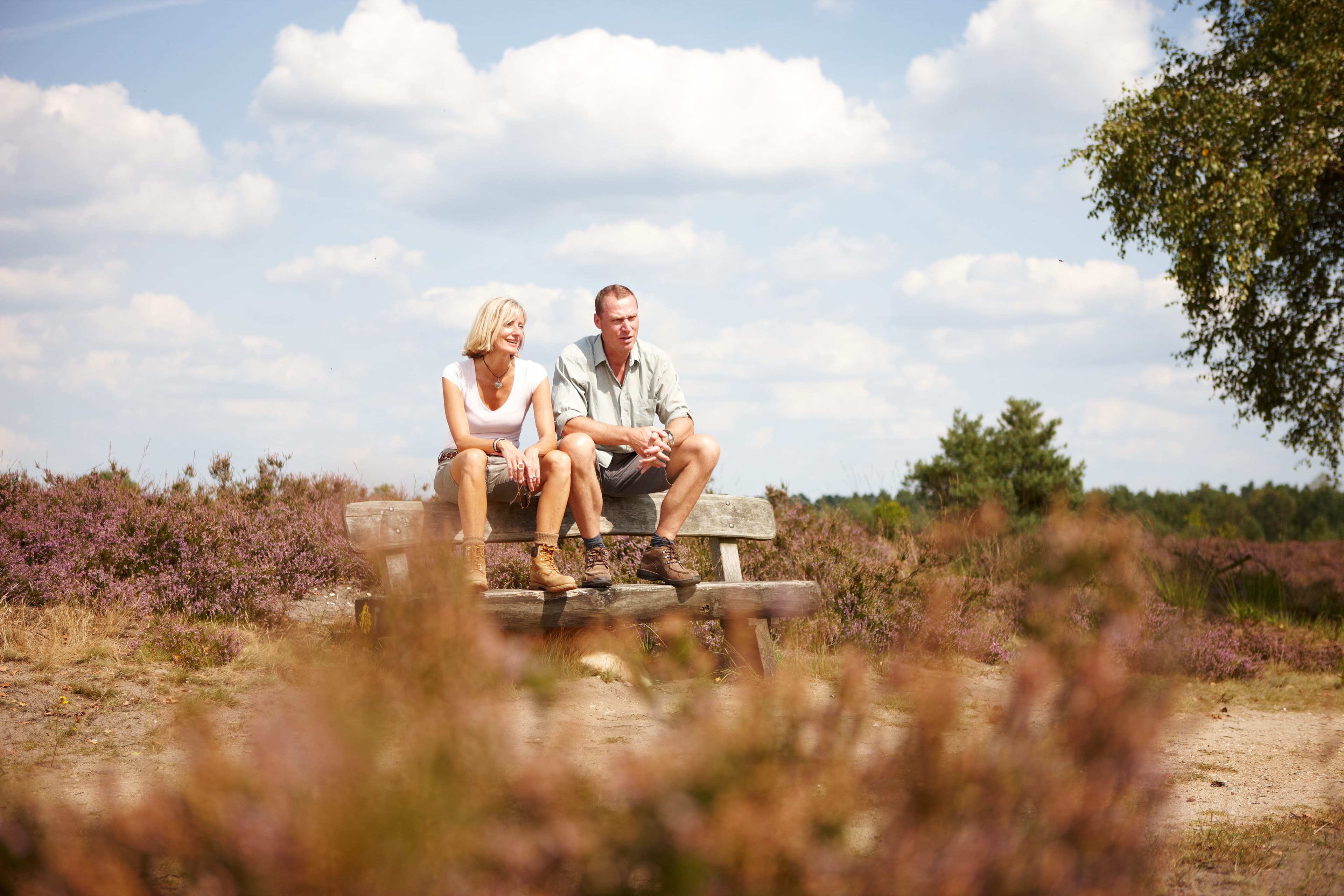 Wandern in der Lüneburger Heide