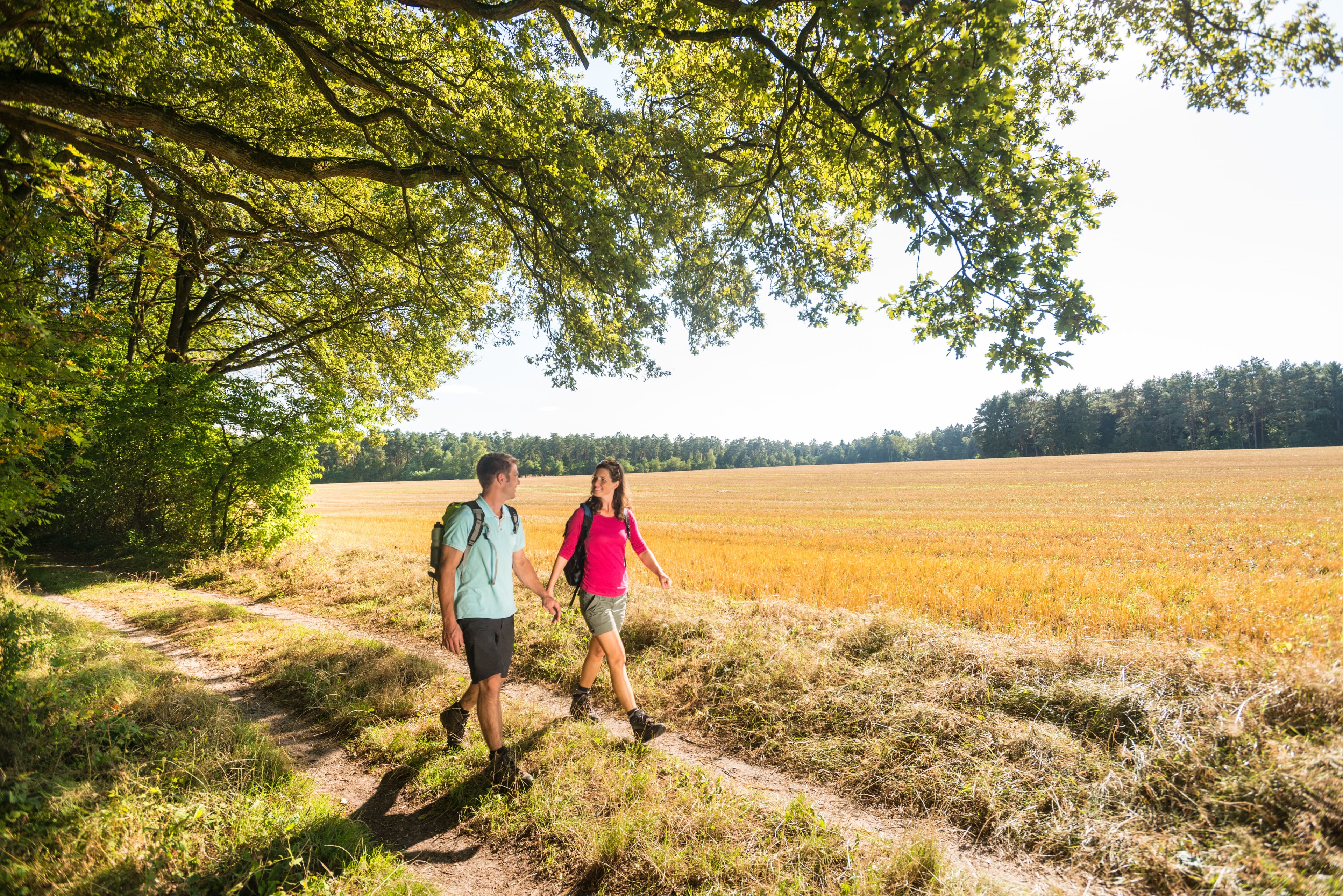 Wandern im Frühling auf dem Heidschnuckenweg