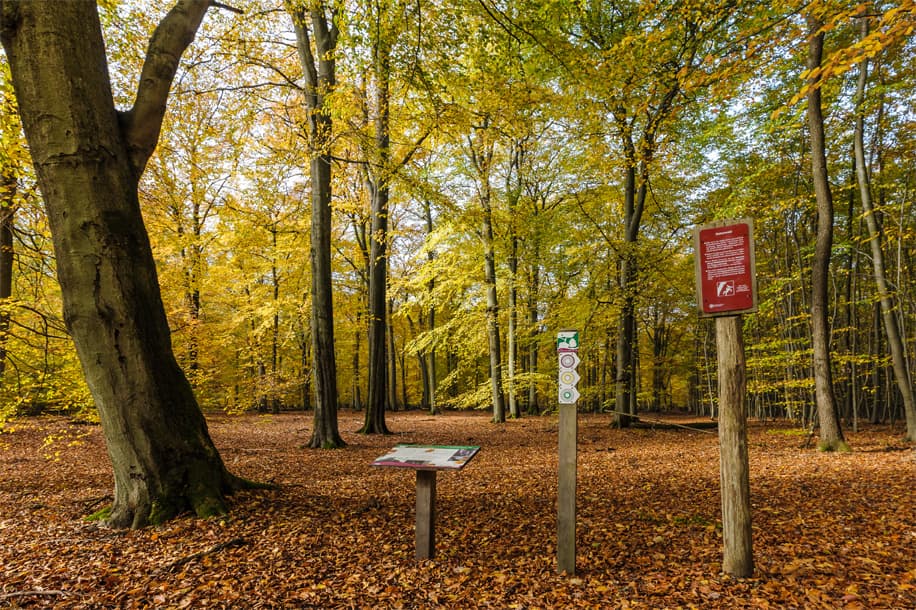 Hinweistafeln im Urwald