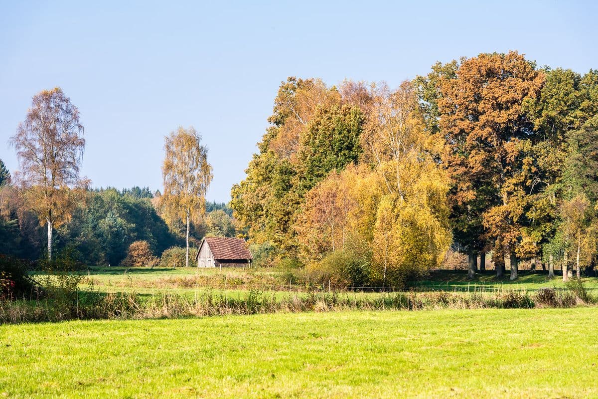 Herbst im Naturpark Südheide