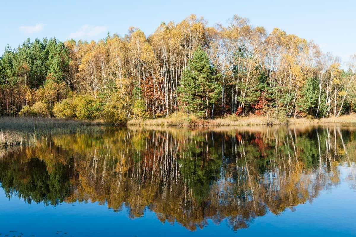 Herbststimmung über dem Kieselgurteich