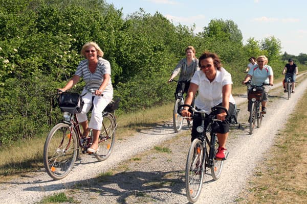 Radfahren, Radwandern, Radtour in der Lüneburger Heide