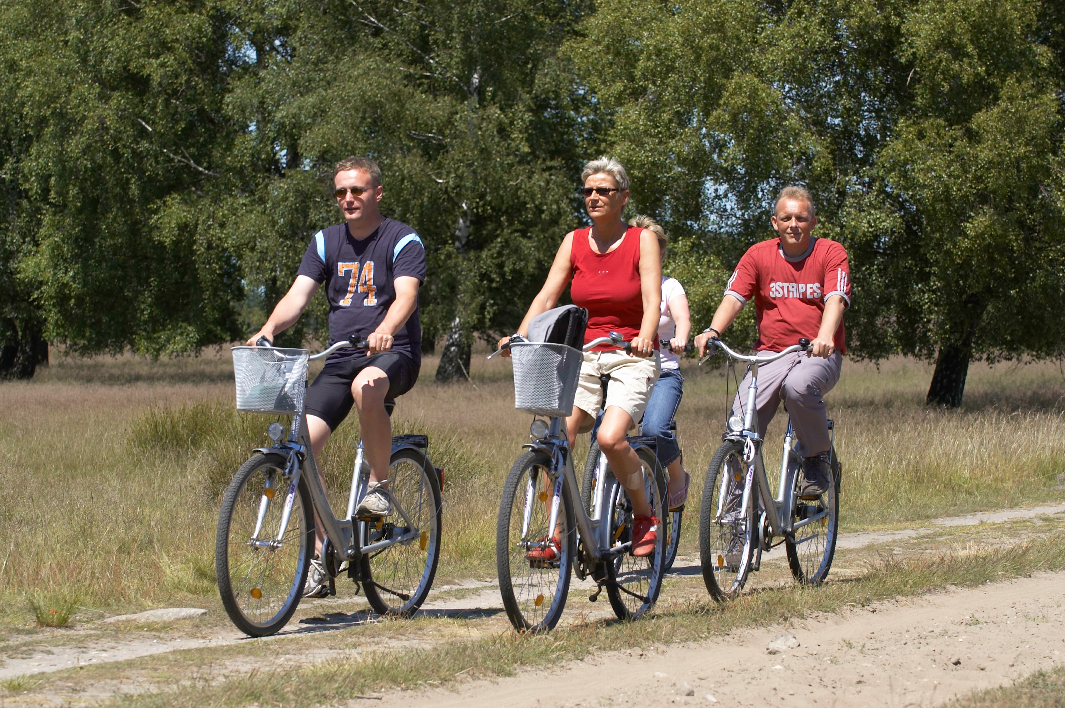 Fahrradfahrer in der sommerlichen Heide 