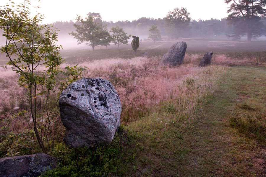 Oldendorfer Totenstatt Sehenswürdigkeiten Lüneburger Heide