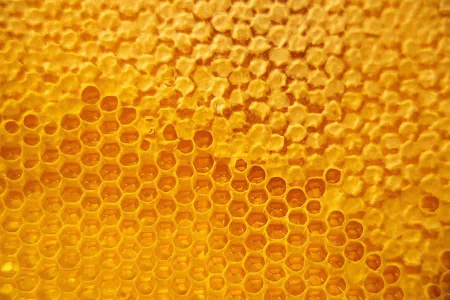 Bienenwaben gefüllt mit Heidehonig