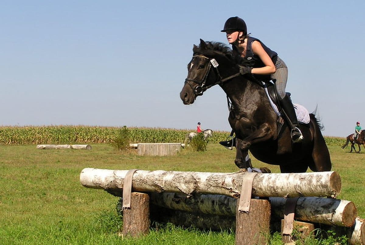 Reiten in der Lüneburger Heide