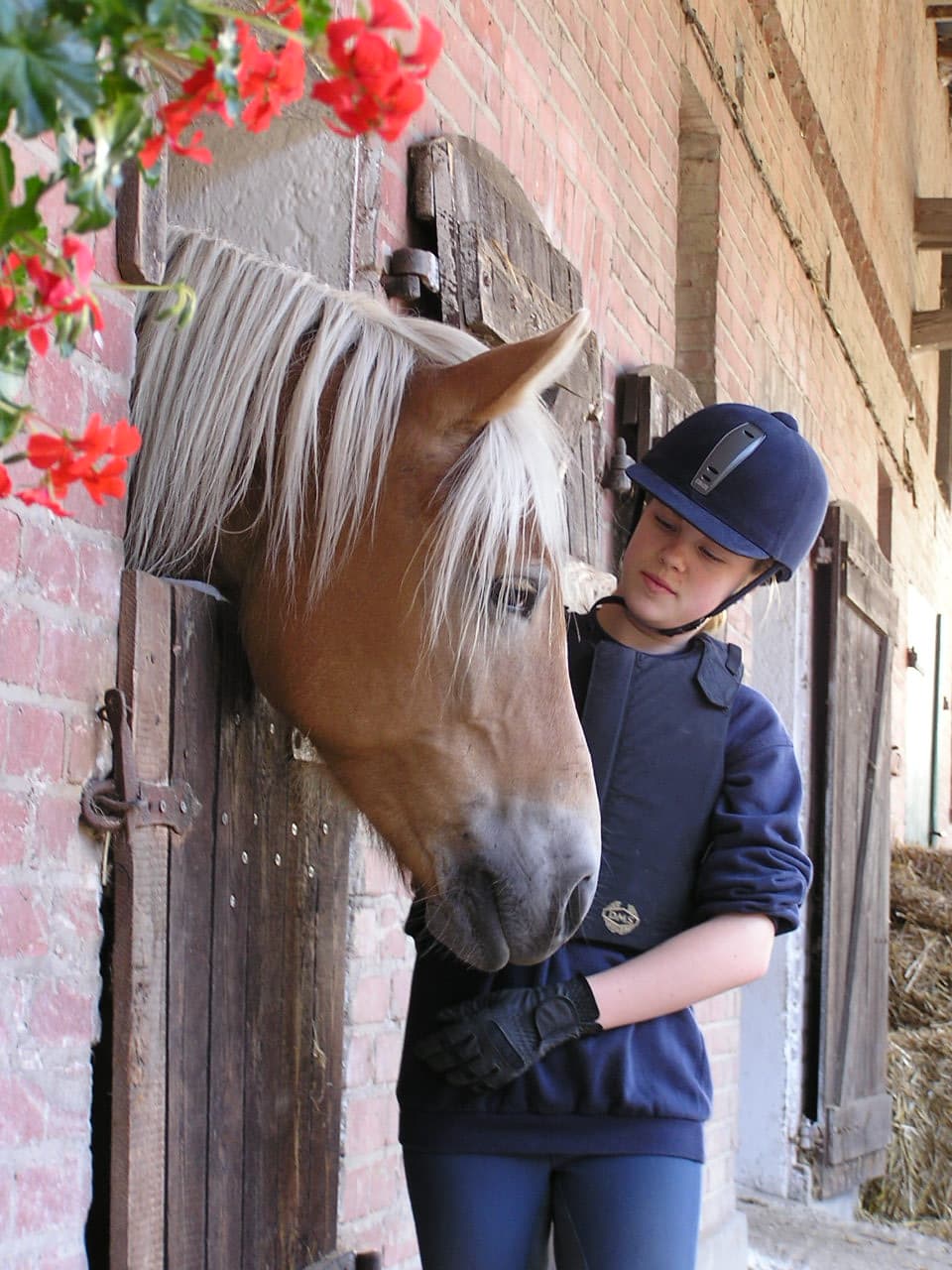 Reiten Lüneburger Heide
