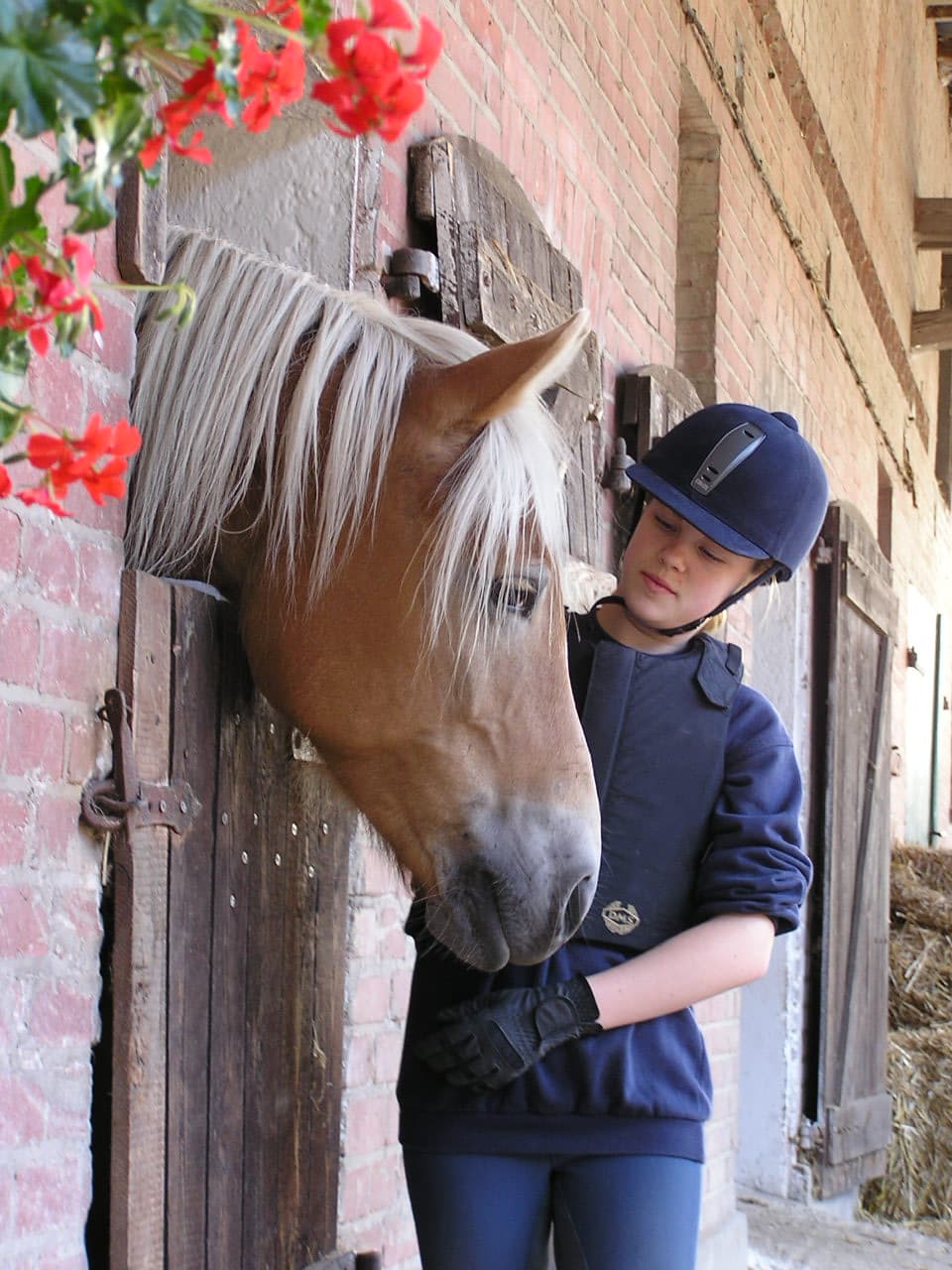 Reiten in der Lüneburger Heide