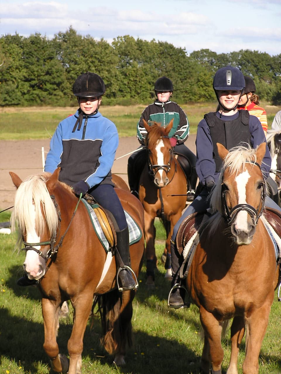 Reiten Lüneburger Heide