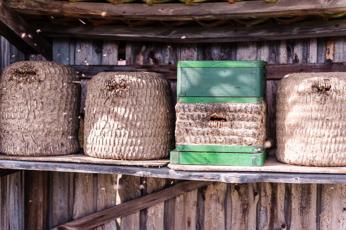 Die imker stellen ihre Bienenkörbe raus in der Lueneburger Heide