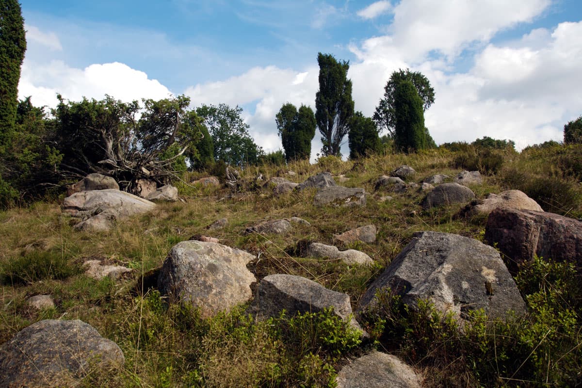 Steingrund in der Lüneburger Heide