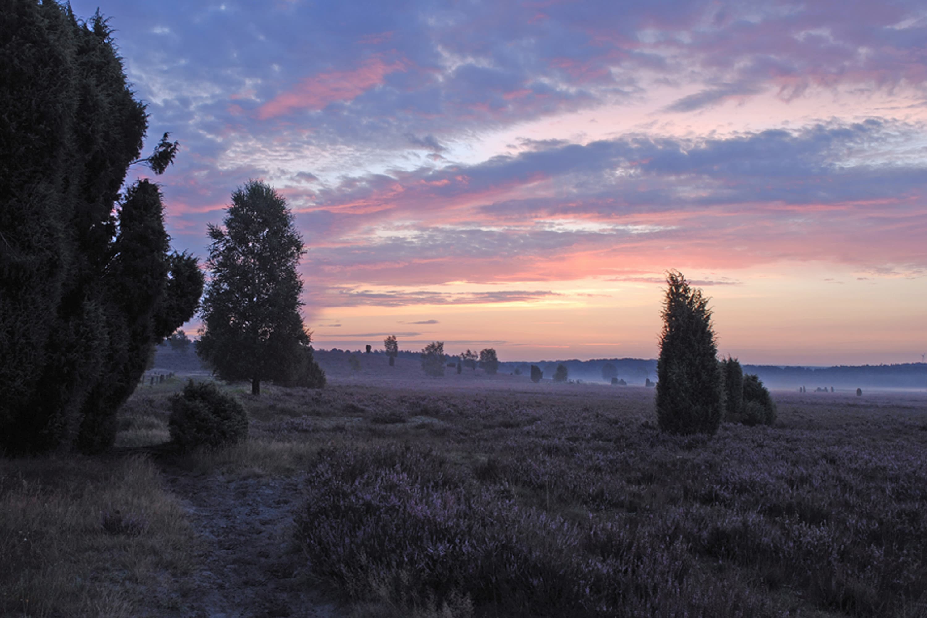 lüneburger heide