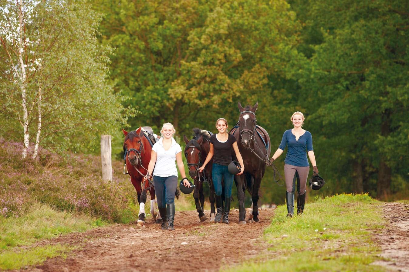 Reiten in der Südheide