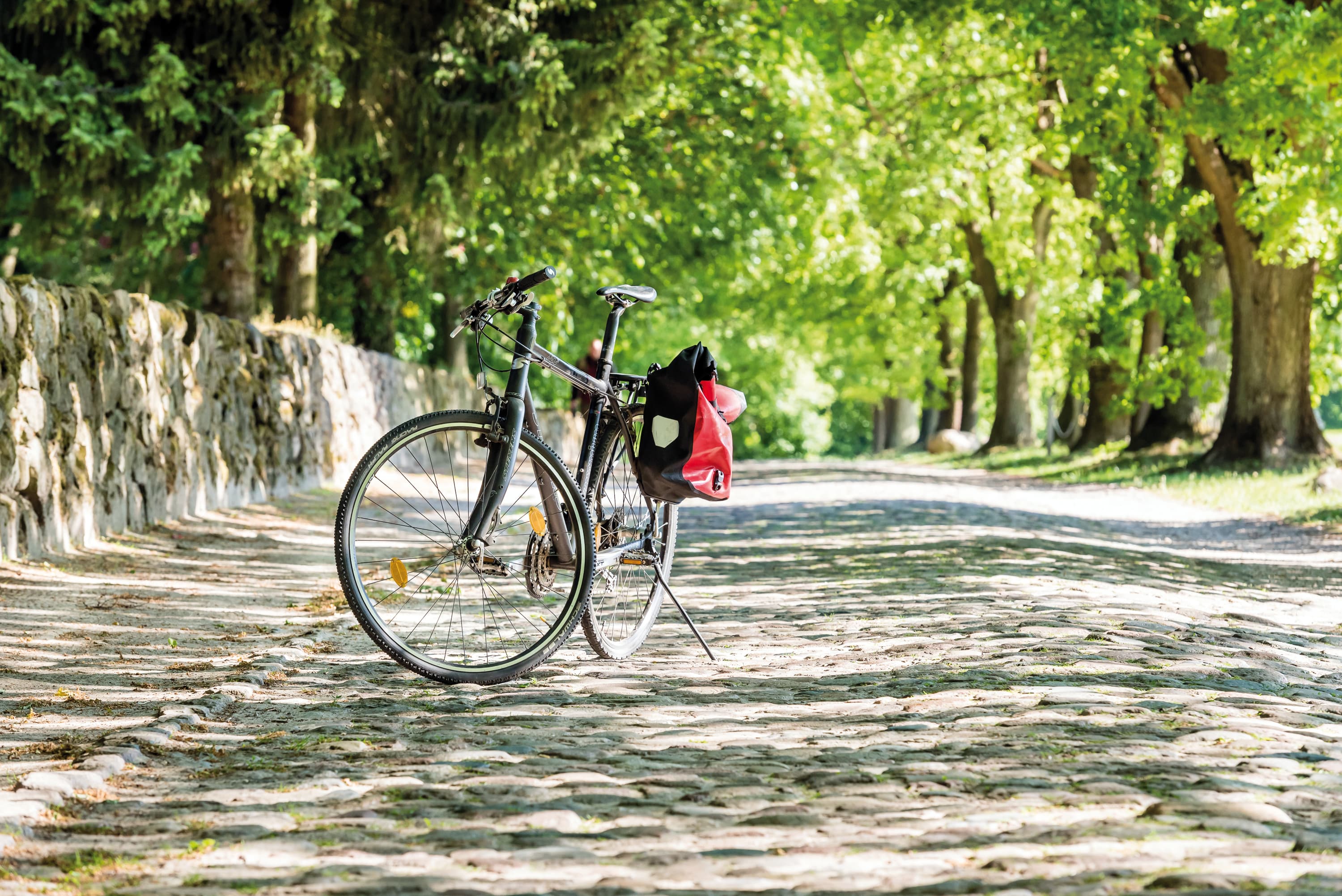 Fahrrad im Heidedorf