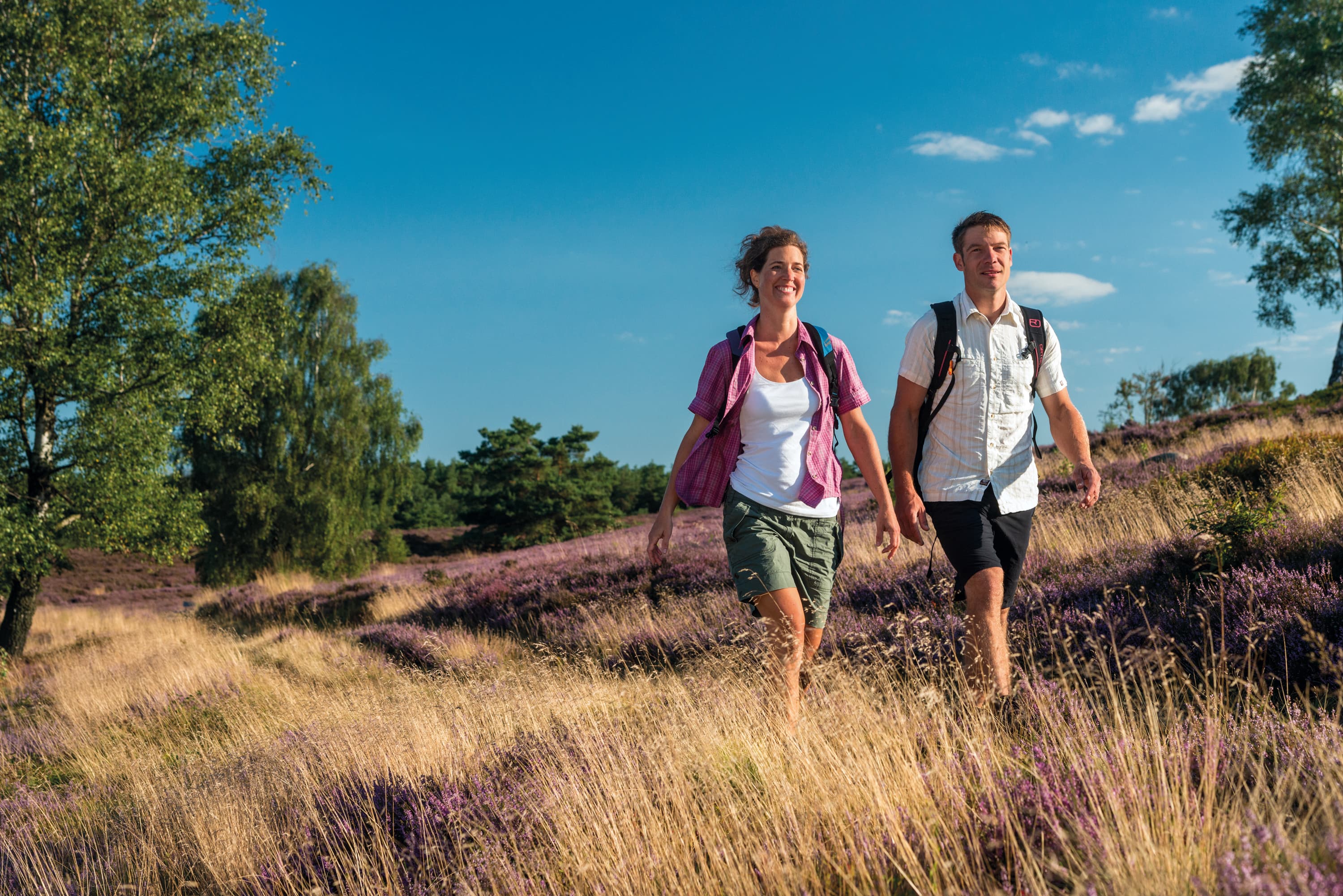 9001 Wandern Lueneburger Heide