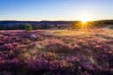 1042-Lueneburger-Heide-Turmberg-Blick.jpg