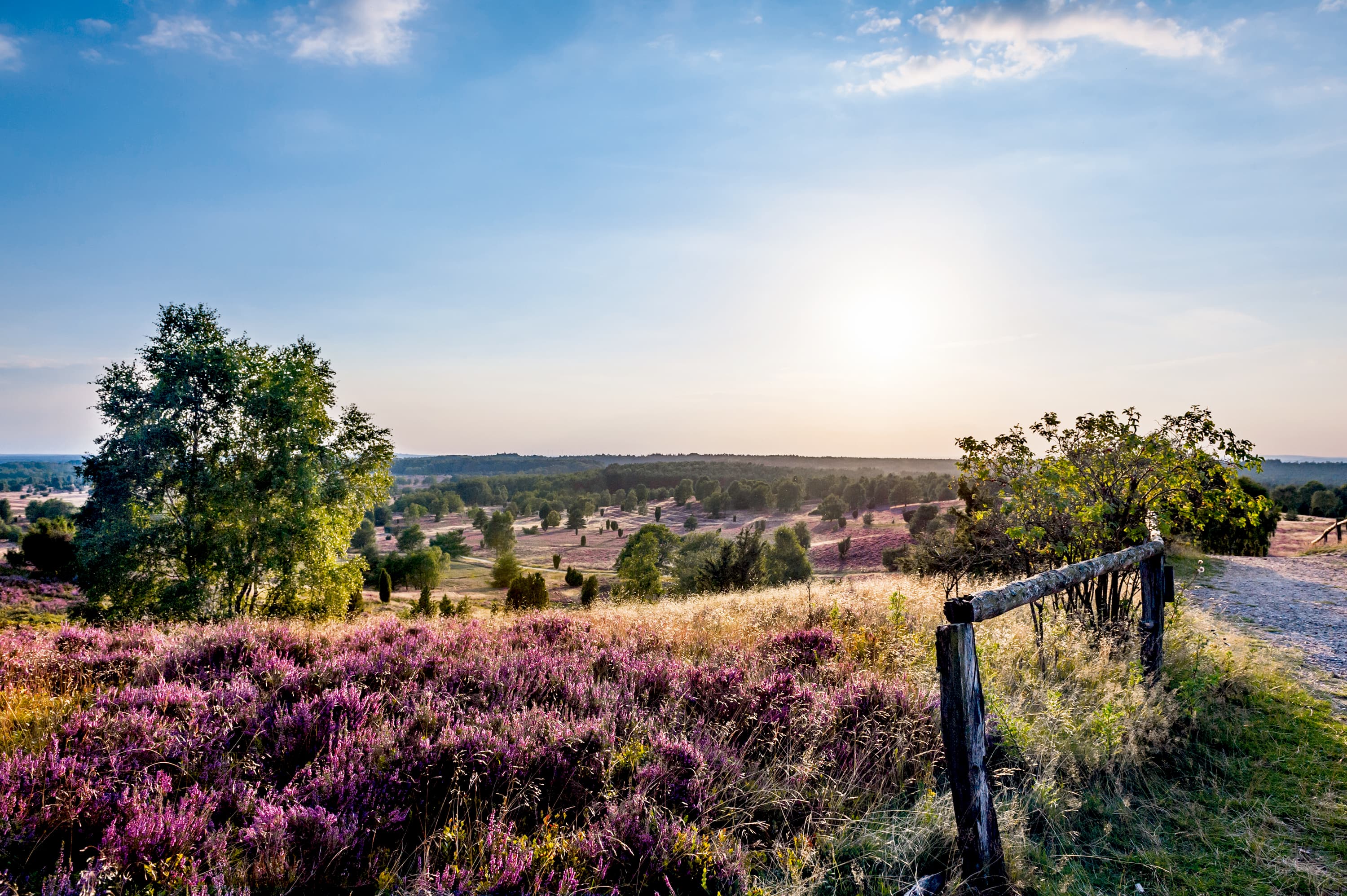 Presse Bilder Lüneburger Heide Wilseder Berg Blick