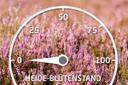 Heideblütenbarometer