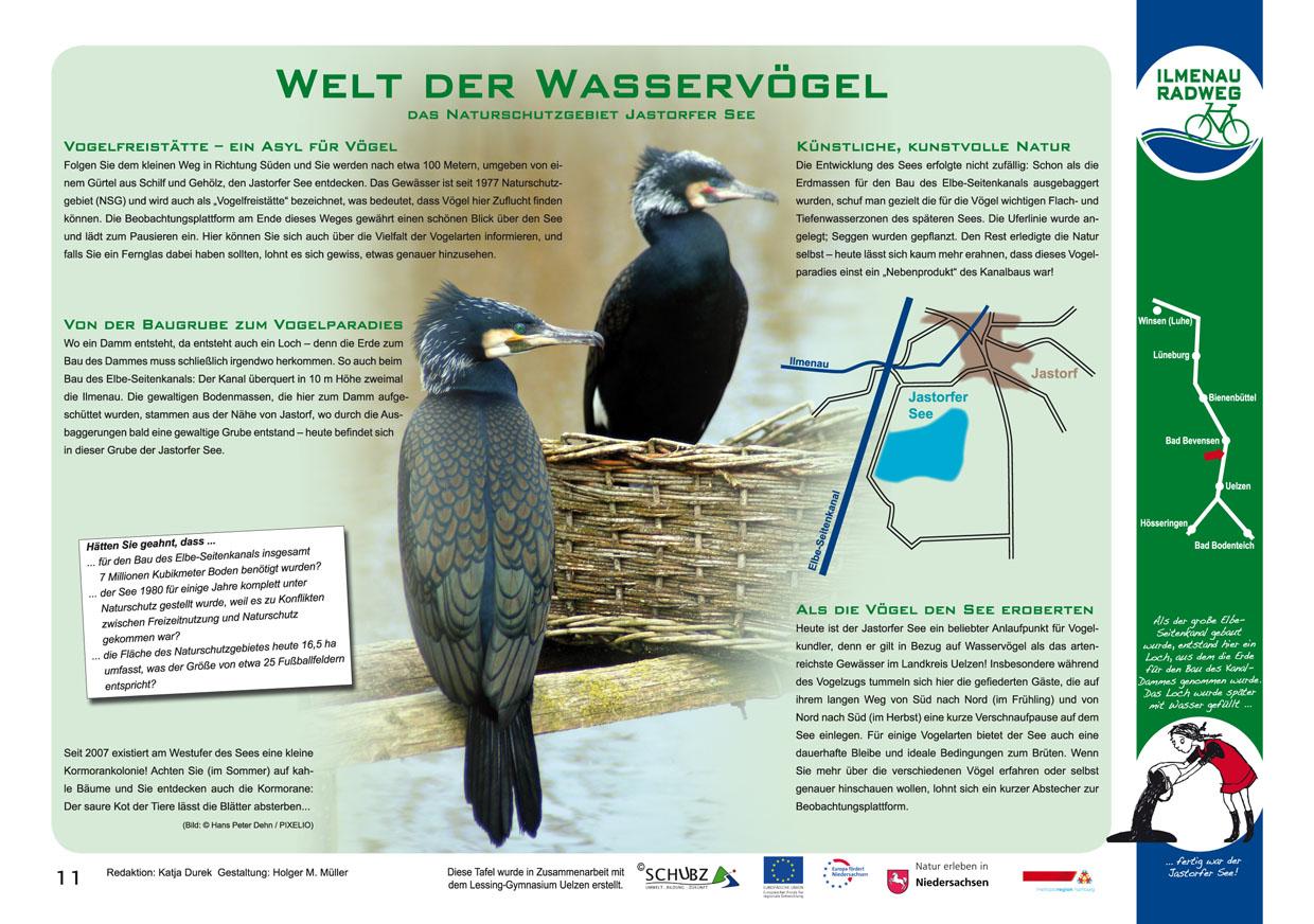 Tafel 11: Welt der Wasservögel