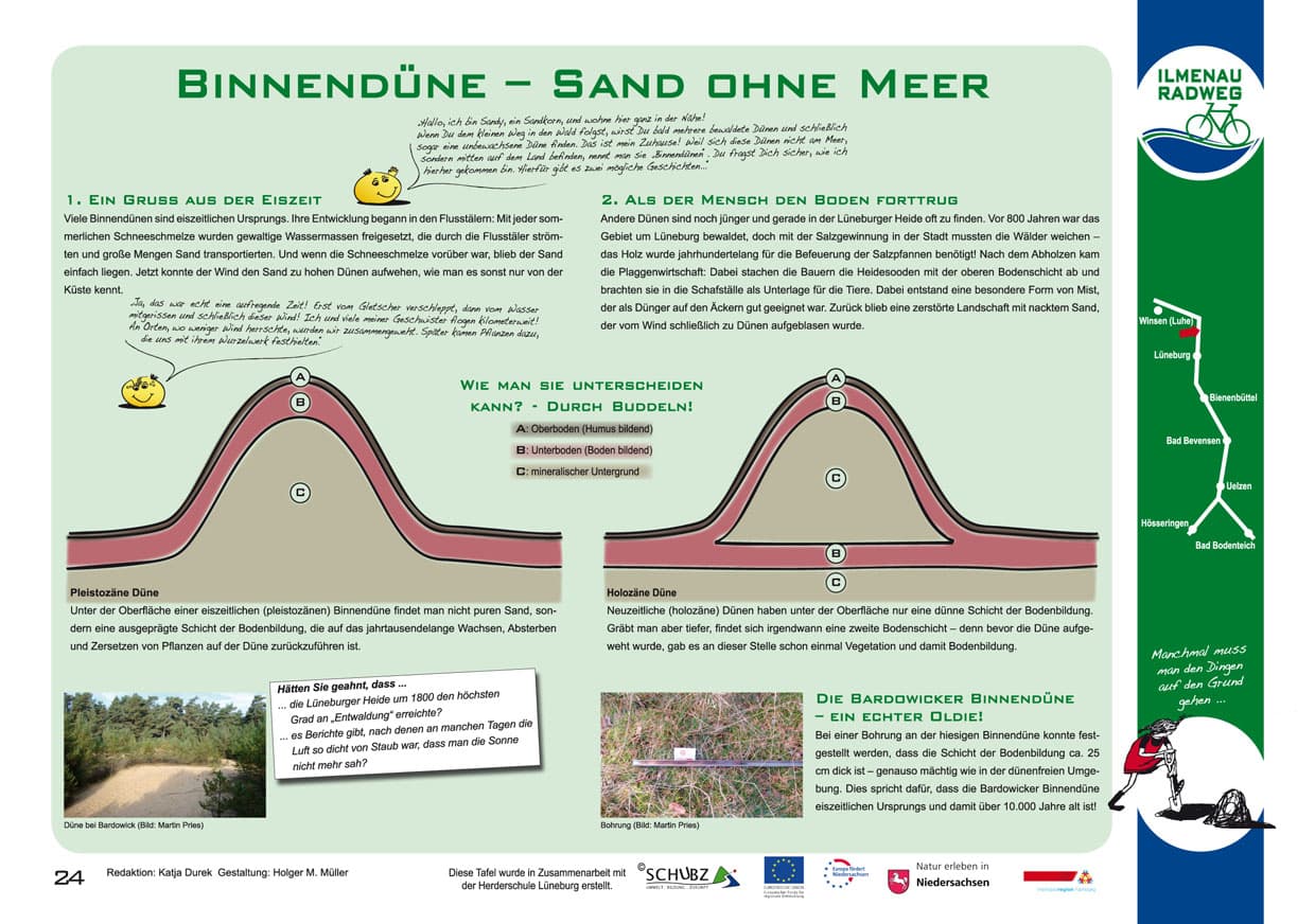 Tafel 24: Binnendüne - Sand ohne Meer