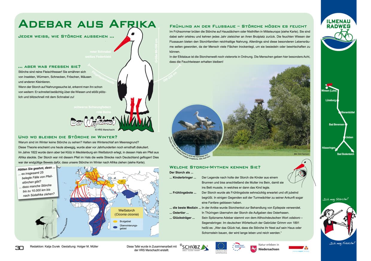 Tafel 30: Adebar aus Afrika