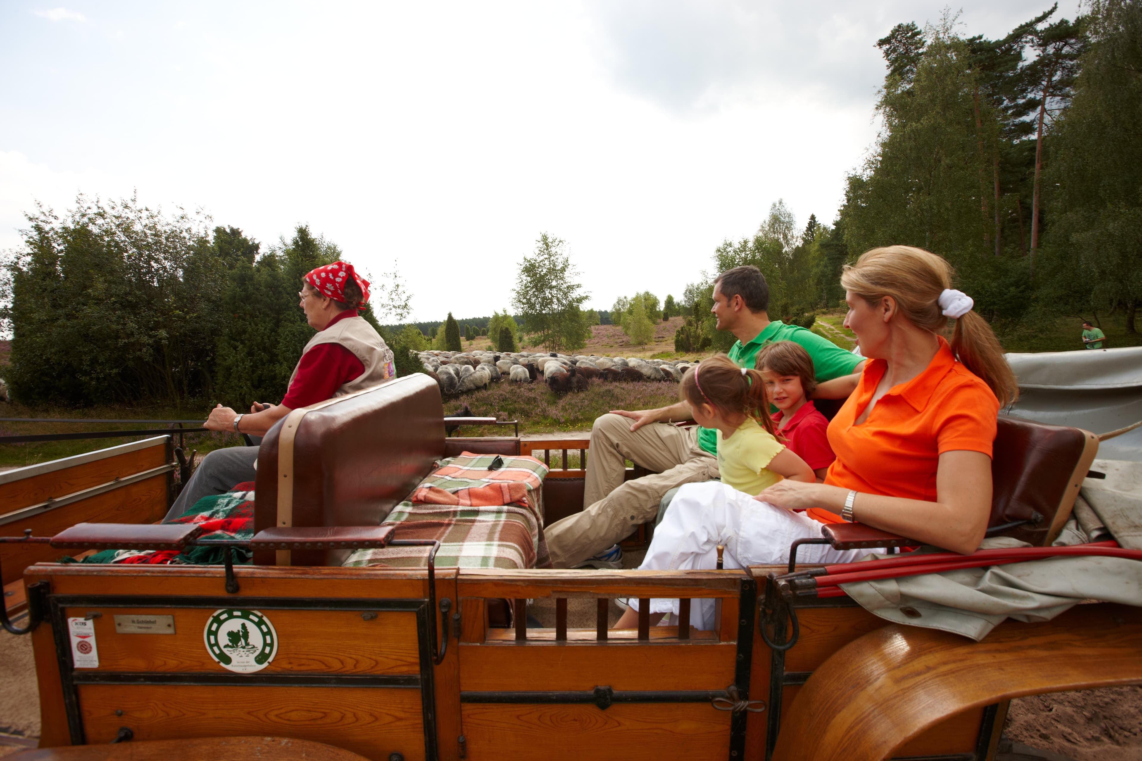 Kutschfahrten für die ganze Familie