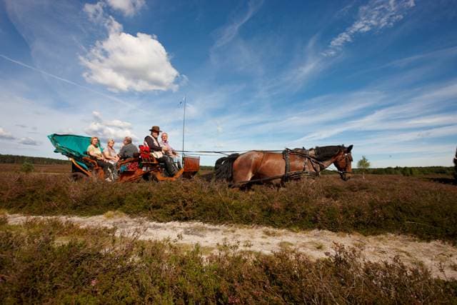 Qualitätskutscher Lüneburger Heide