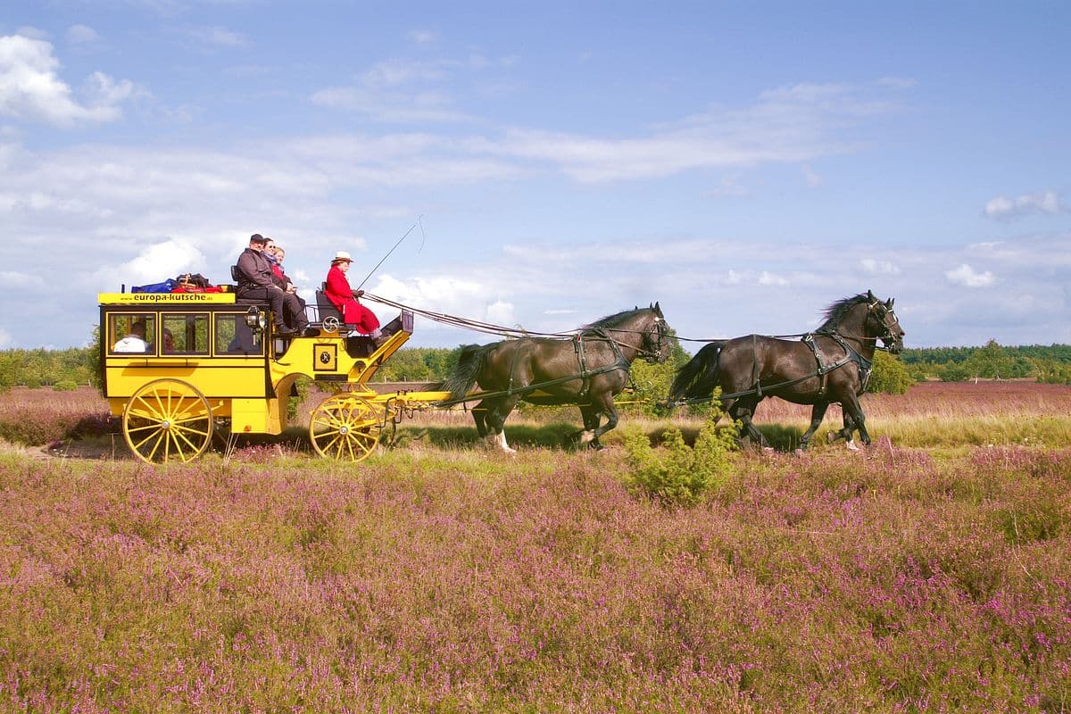 Kutschfahrt der Lüneburger Heide