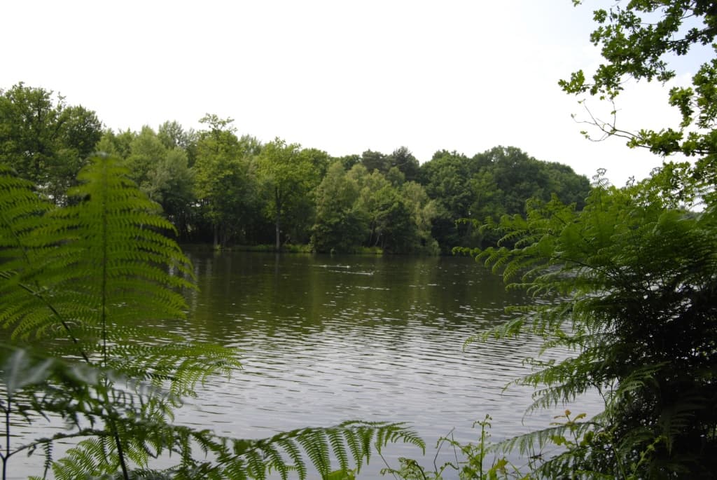 Wasserwandern