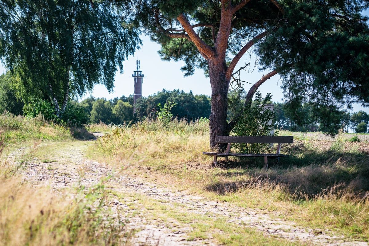 Turmwanderweg Hösseringen