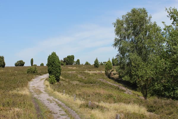 Wanderweg am Rand des Totengrunds