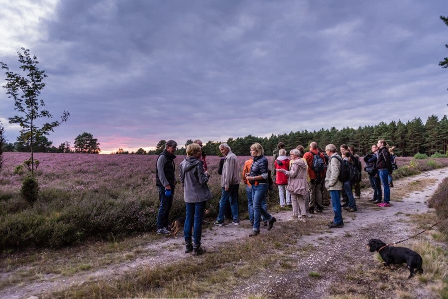 Gästeführung durch die Lüneburger Heide