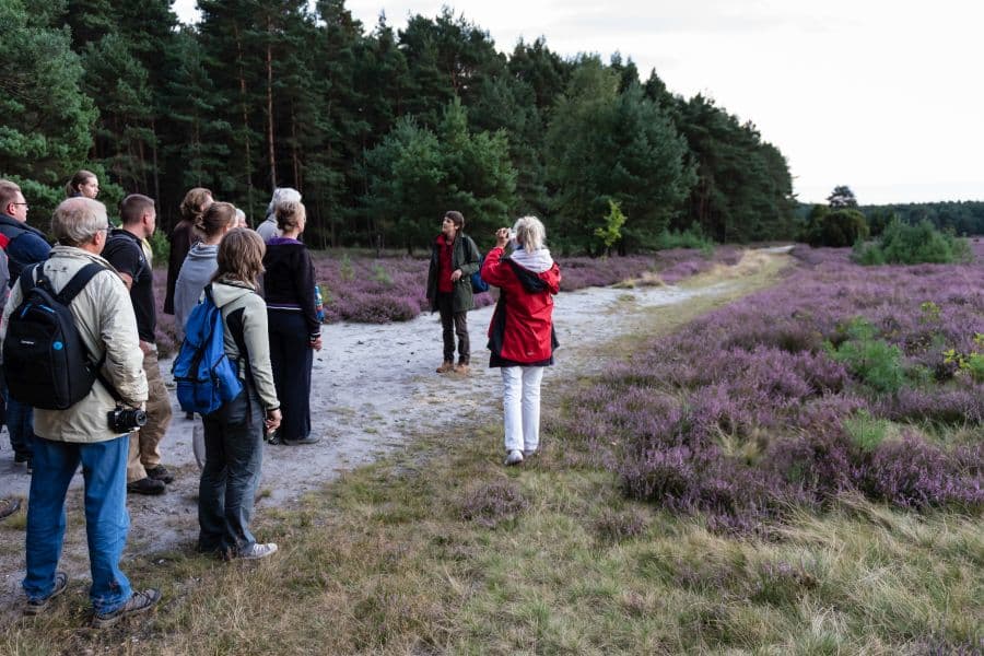 Gästeführung durch die Lüneburger Heide