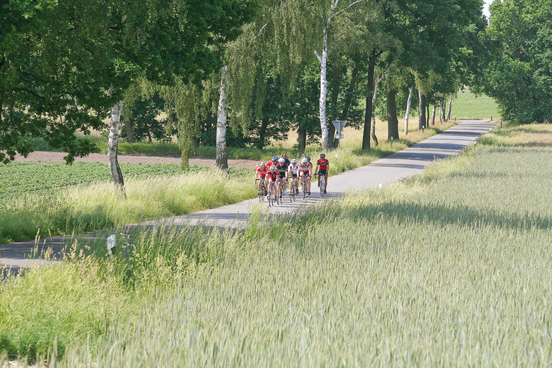 Mit dem Rennrad in der Gruppe unterwegs