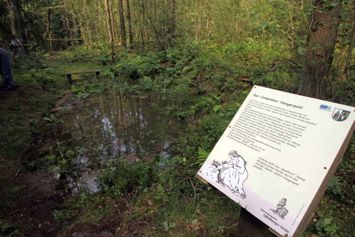 die geschichte vom hungerpohl in undeloh fasziniert bis heute