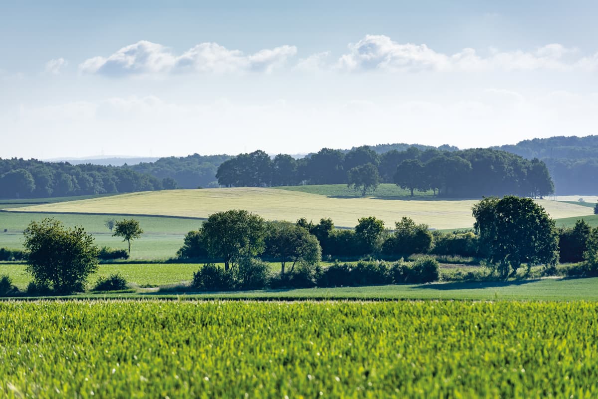 Uelzener Becken in der Region Uelzen
