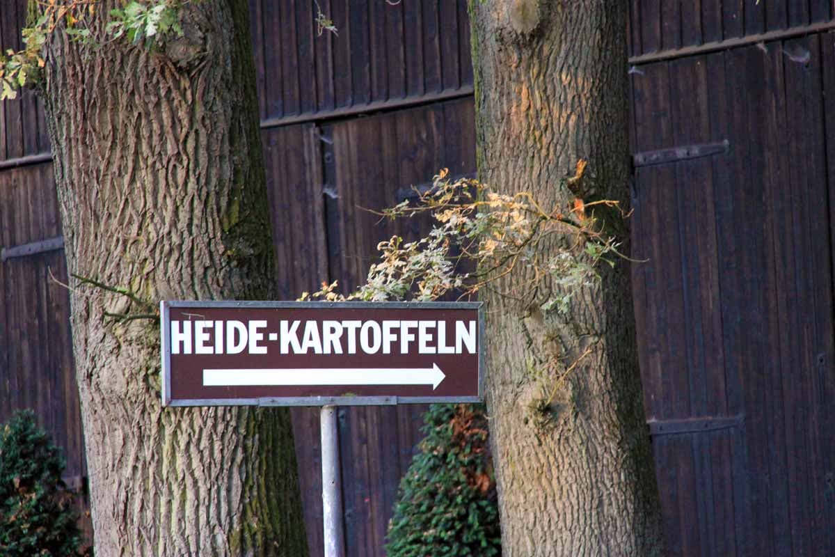 Heide Kartoffel