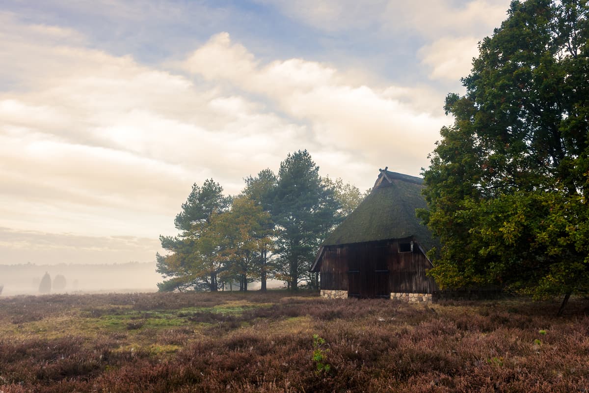 Mystische Stimmung im Herbst