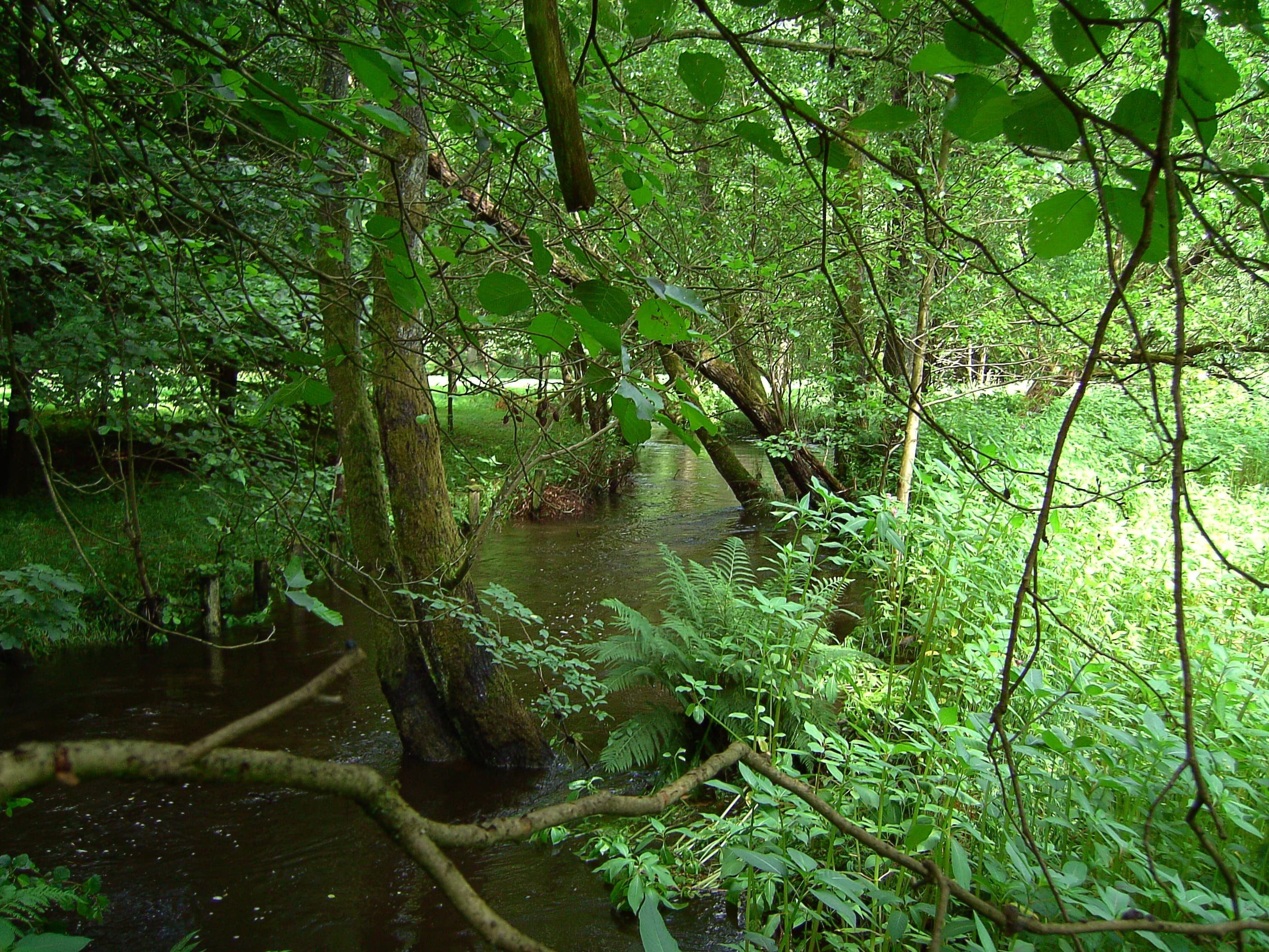 Estetal im Regionalpark Rosengarten