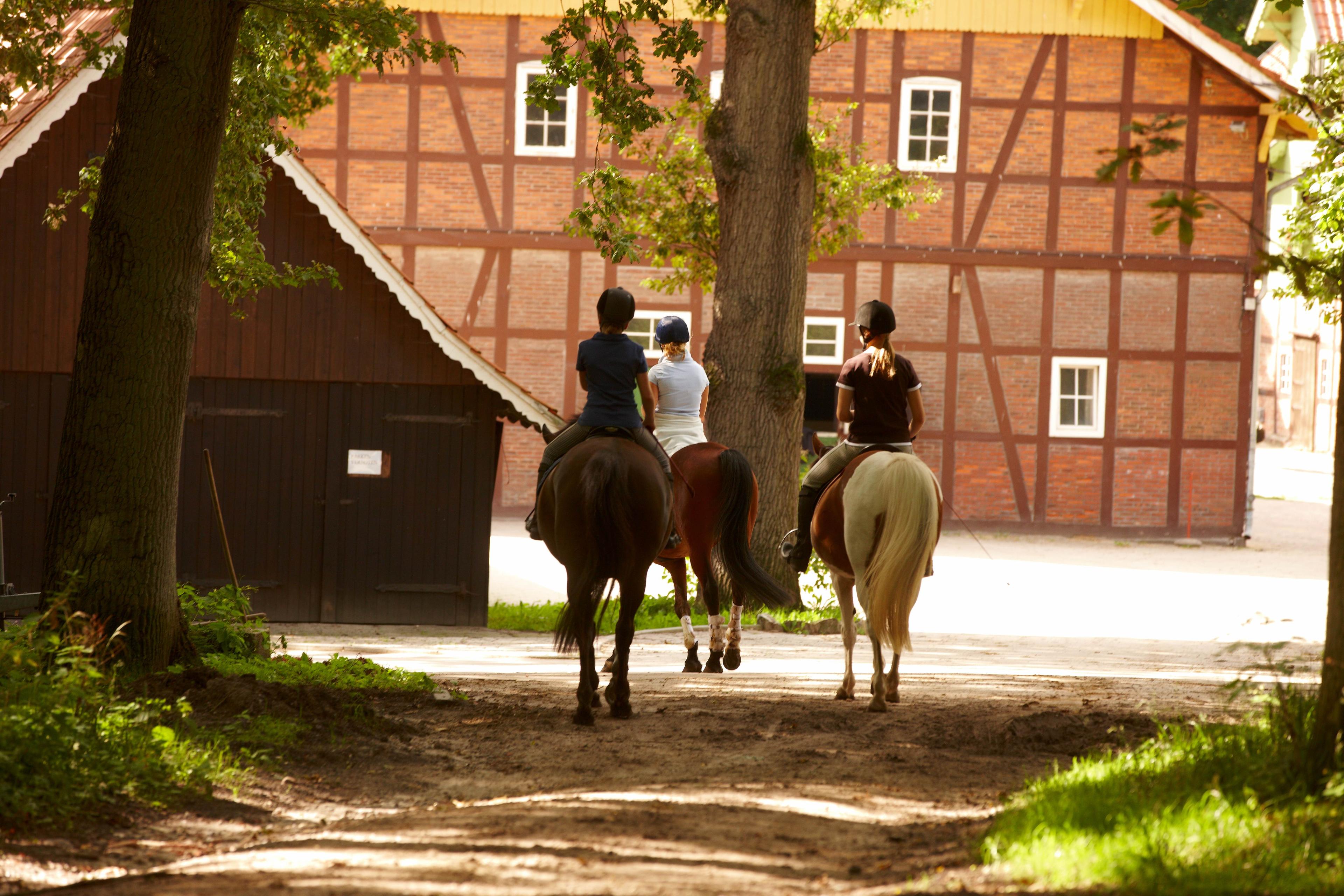 Reiter vor einem Reiterhof