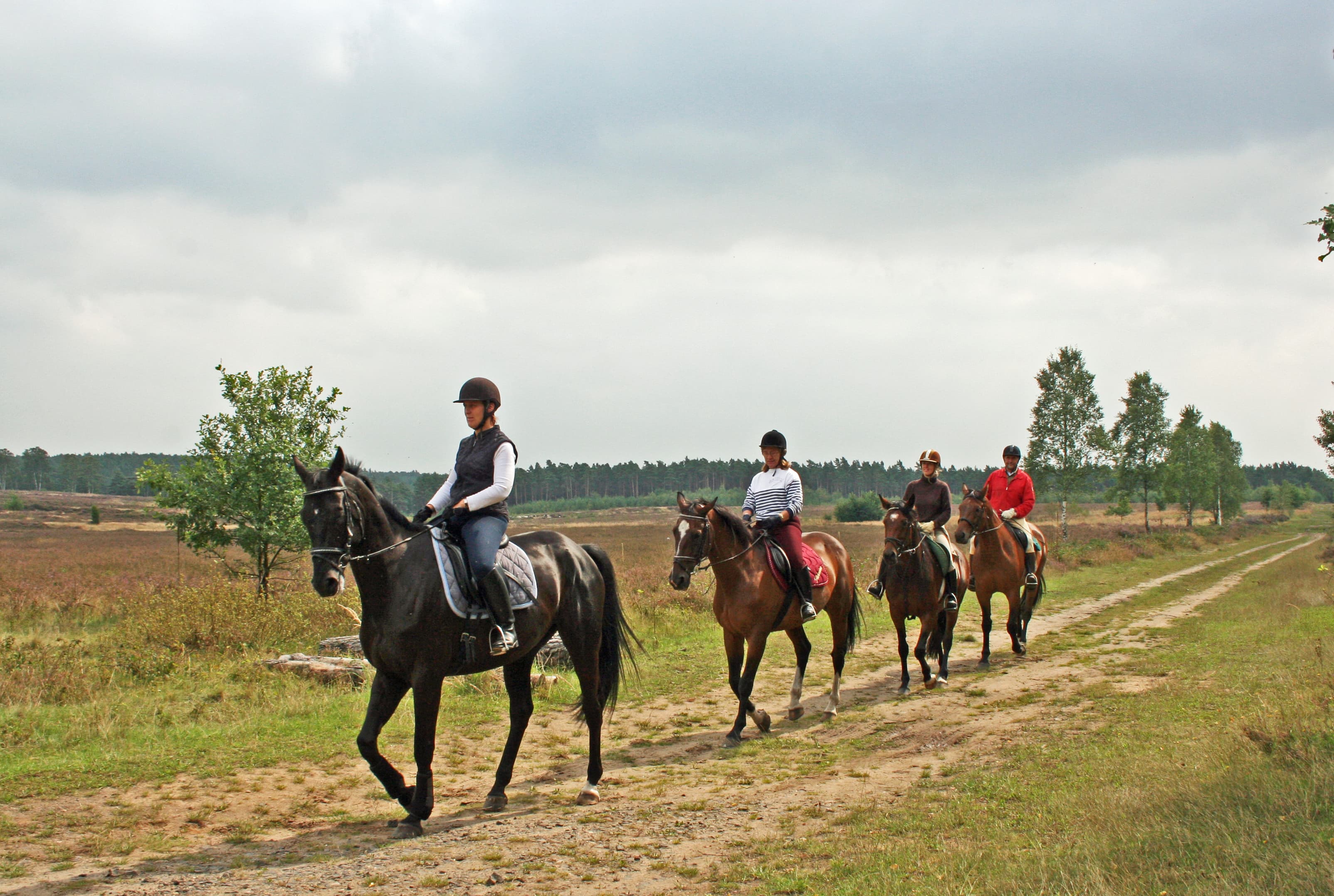vier Reiter in der Heide