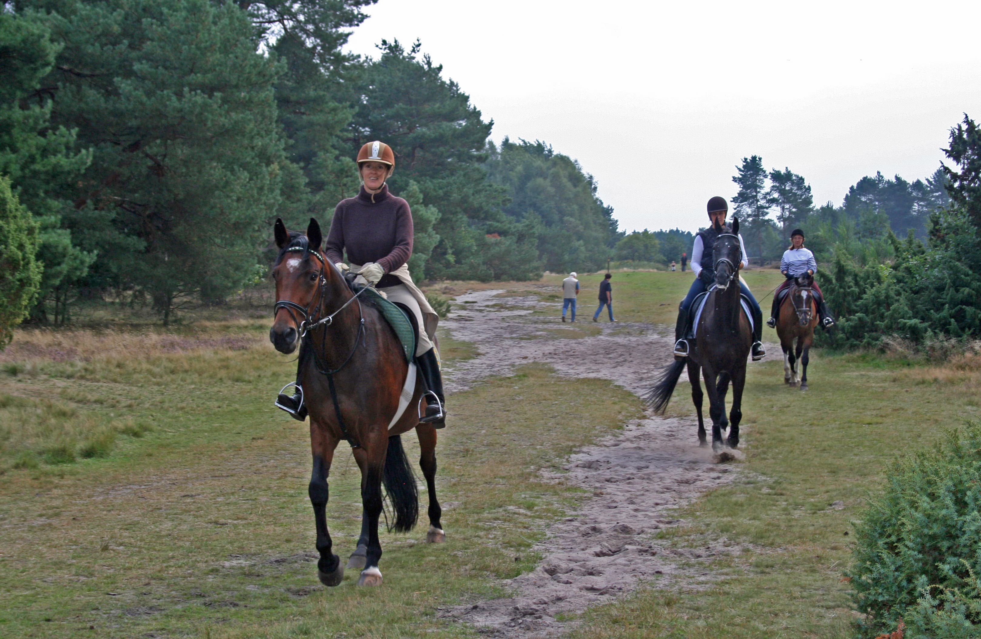 Reiten in der Misselhorner Heide