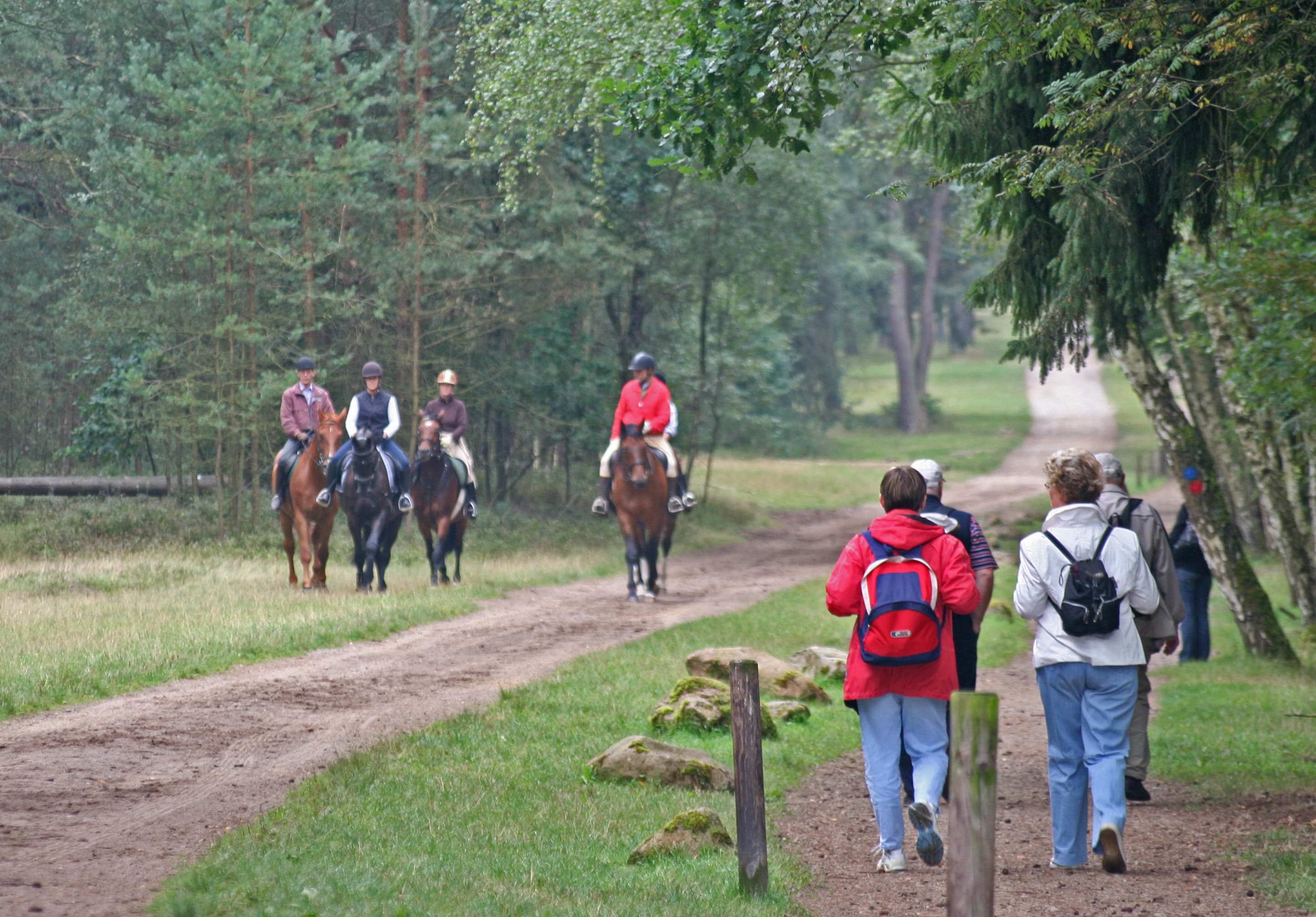 Reiter im Naturpark Südheide