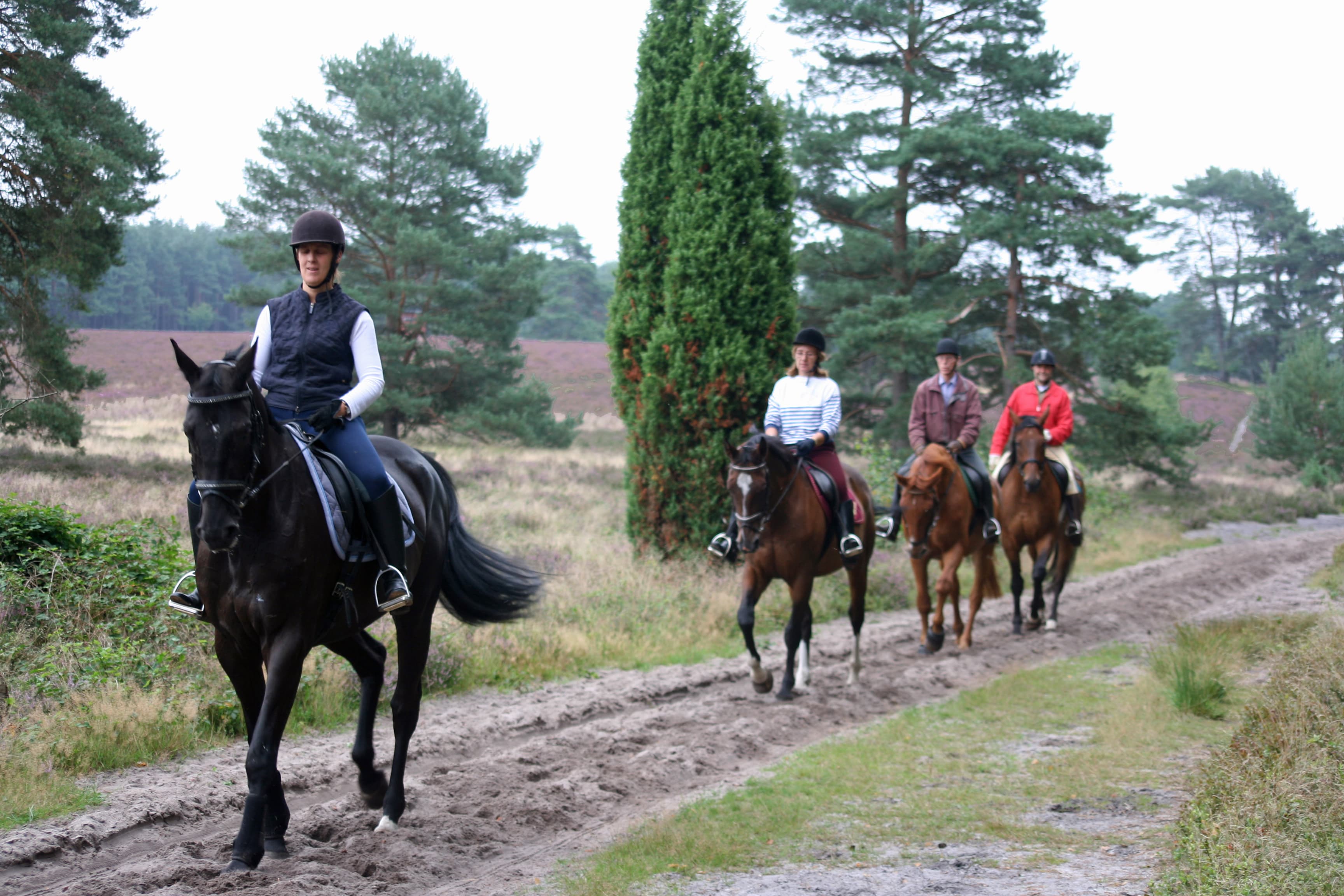 Reiter im Naturpark Südheide