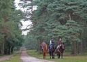 drei Reiter im Naturpark Südheide
