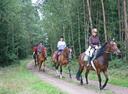 vier Reiter im Naturpark Südheide