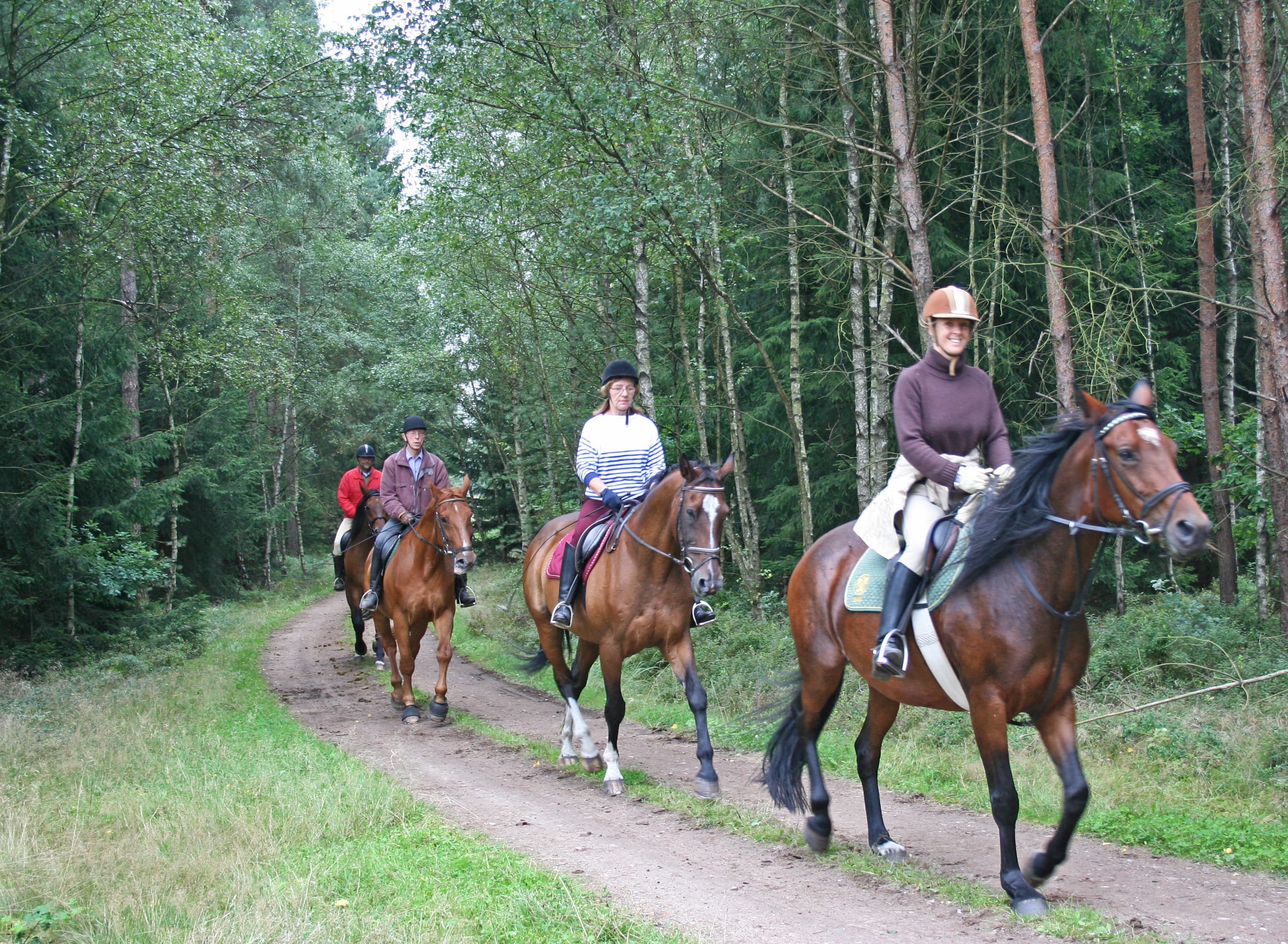 Reiter im Naturpark Südheide