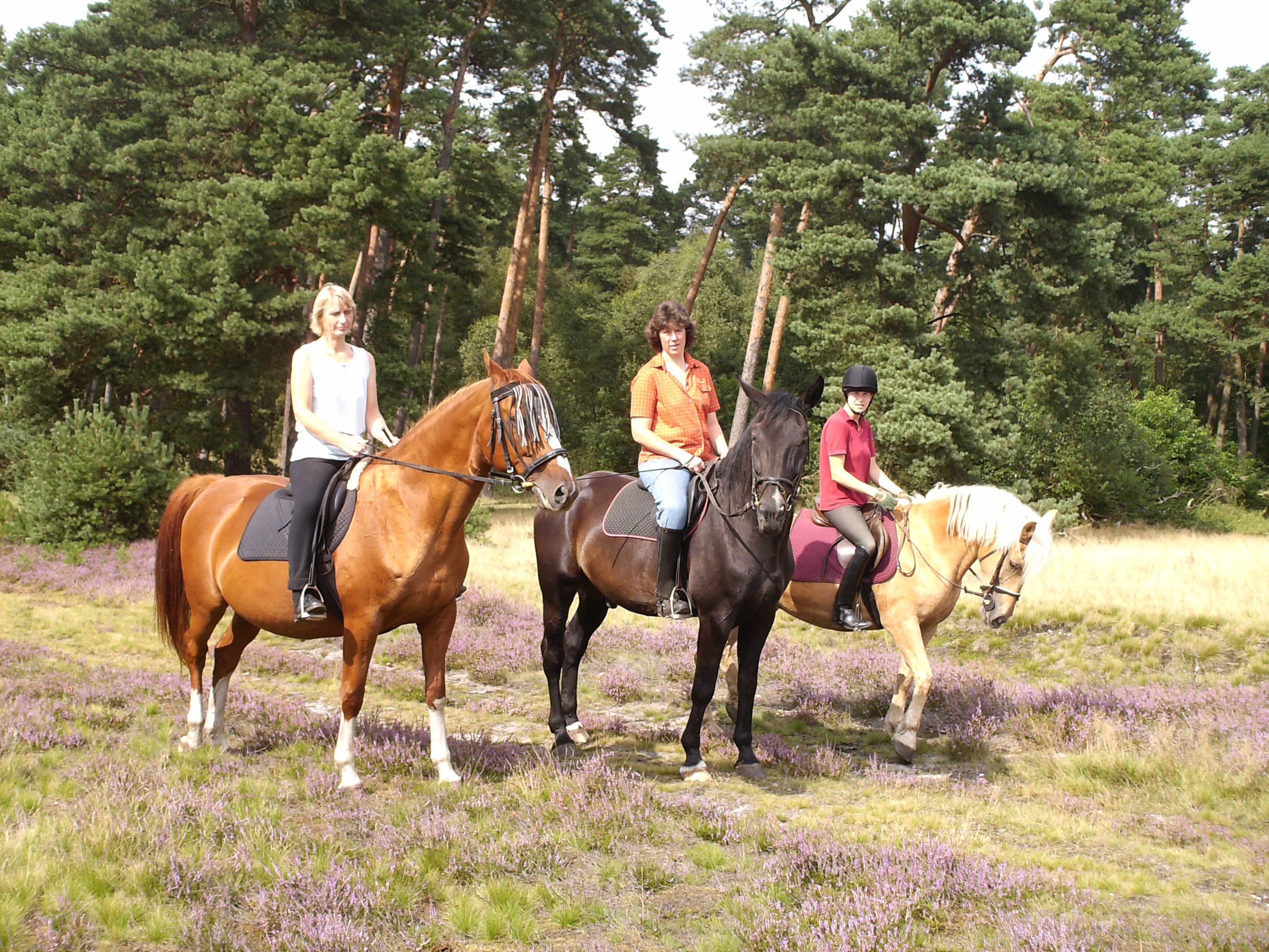 Reiter im Naturpark Südheide