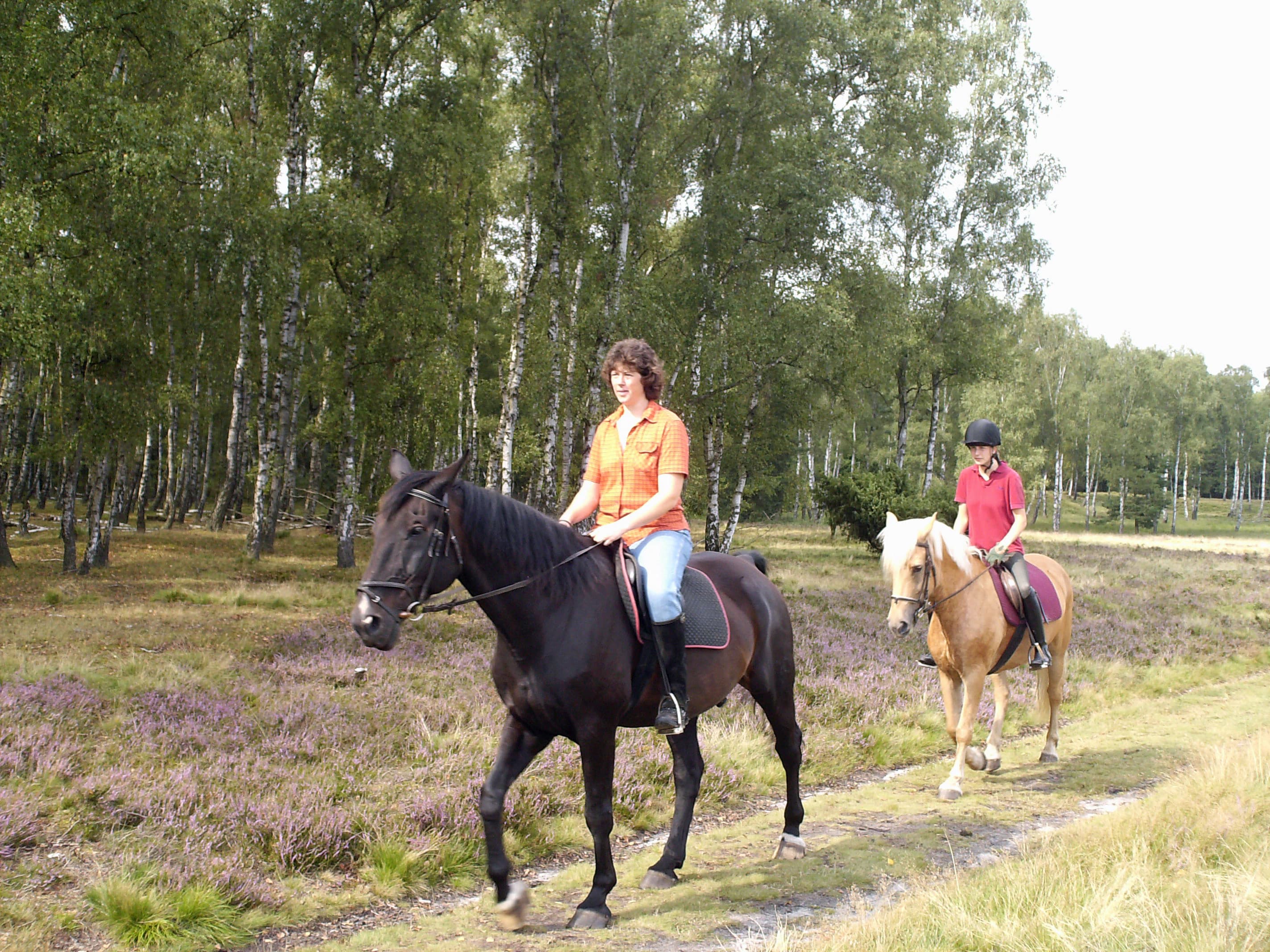 Reiter im Naturpark Südheide