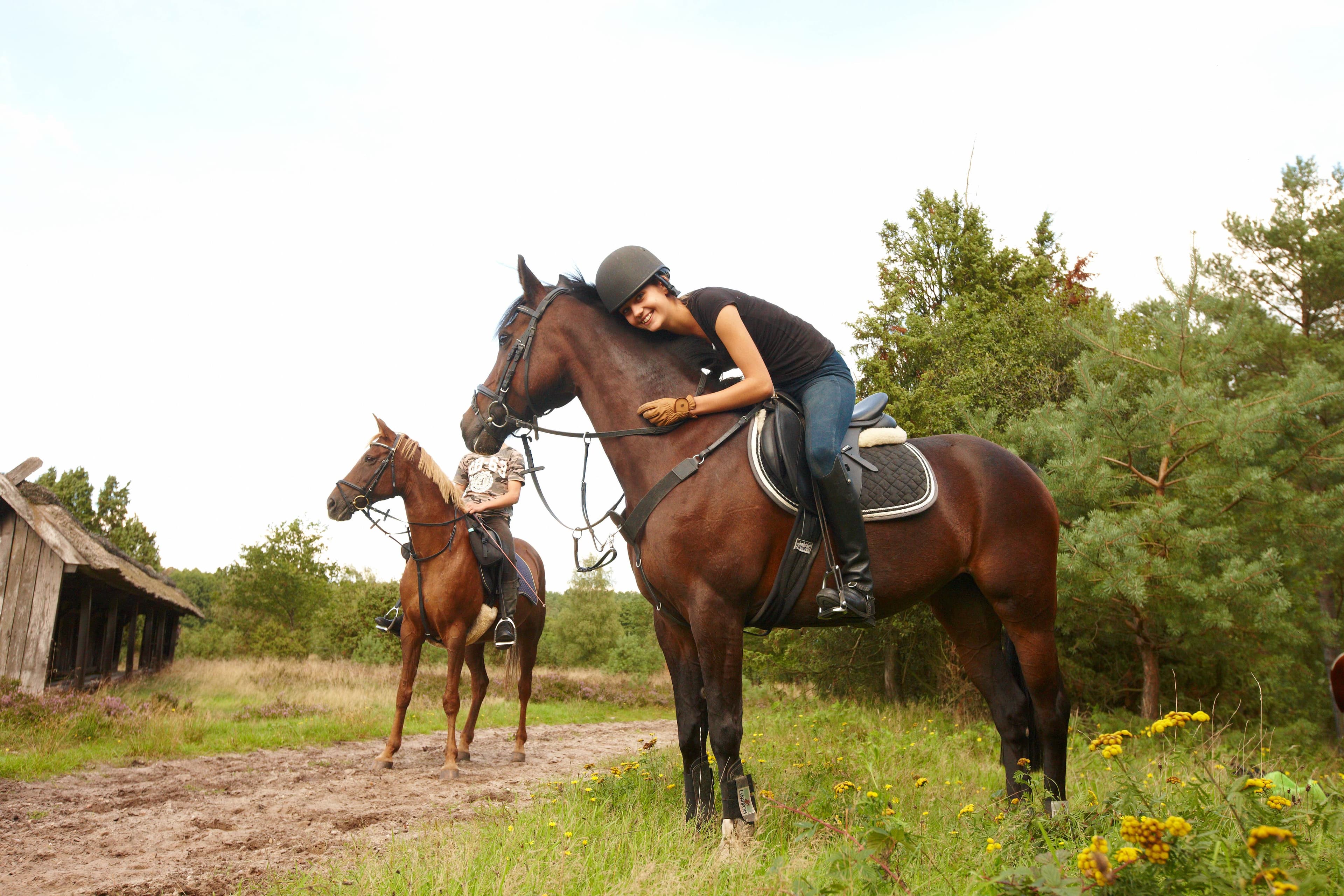 Reiter in der Südheide